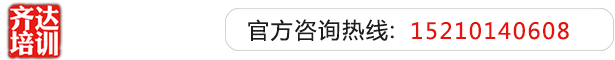 插入小欠视频网站齐达艺考文化课-艺术生文化课,艺术类文化课,艺考生文化课logo